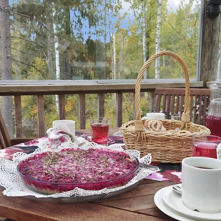 Holiday home Jussinlahti- Vaikon Loma 6 By Interhome Kortteinen